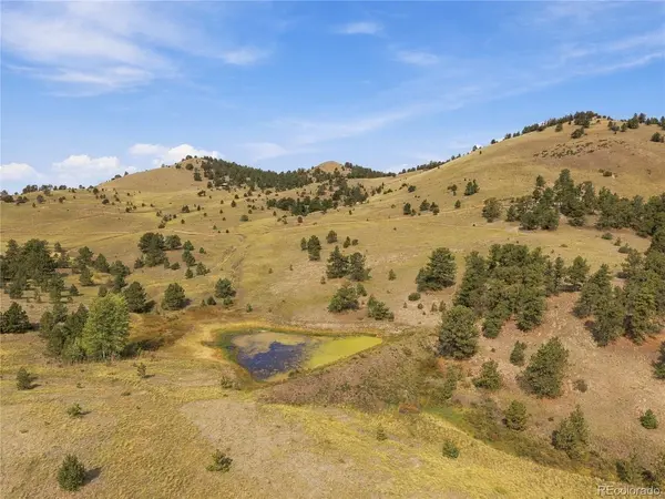 214 Betty Lou, Guffey, CO 80820