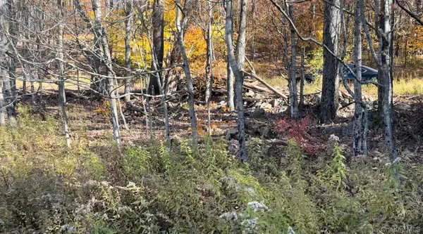 Chaffee RD, Liberty, NY 12754
