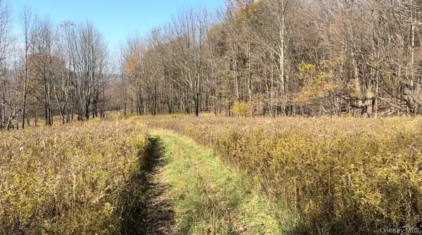 Chaffee RD, Liberty, NY 12754