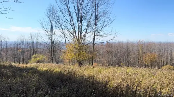 Chaffee RD, Liberty, NY 12754
