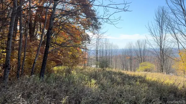 Chaffee RD, Liberty, NY 12754