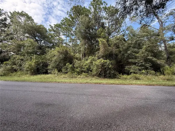 TBD SW 57TH PL, Dunnellon, FL 34431