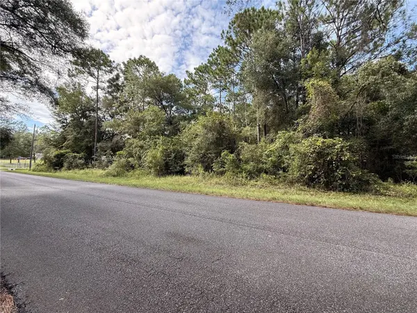 TBD SW 57TH PL, Dunnellon, FL 34431