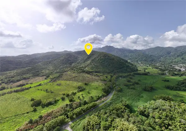 BO. RIO BLANCO, Naguabo, PR 00718