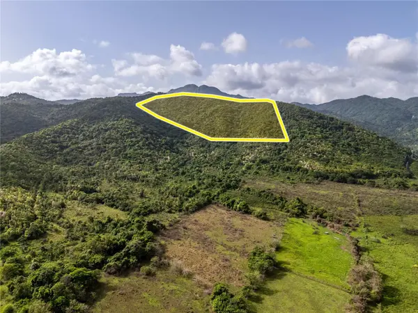 BO. RIO BLANCO, Naguabo, PR 00718