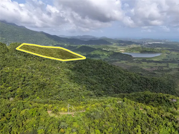 BO. RIO BLANCO, Naguabo, PR 00718