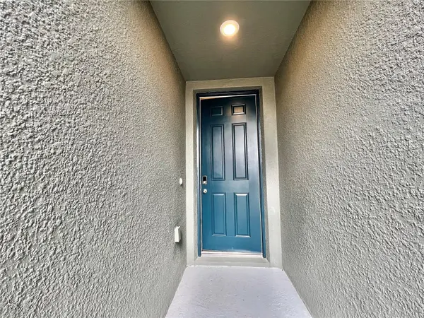 32455 LIMITLESS PLACE, Wesley Chapel, FL 33545