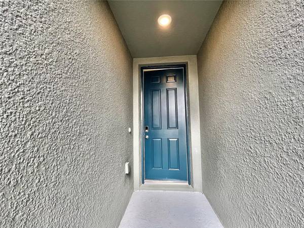 32455 LIMITLESS PLACE, Wesley Chapel, FL 33545