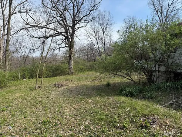 1925 W Woodbine AVE, Kirkwood, MO 63122
