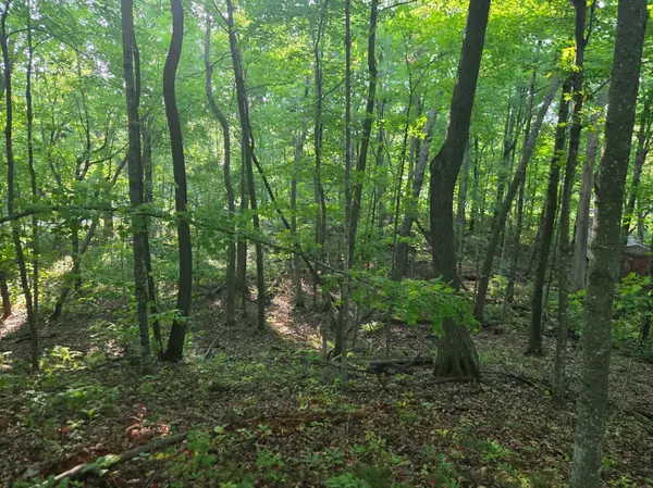 TBD Deer Trail, Garrison, MN 56450