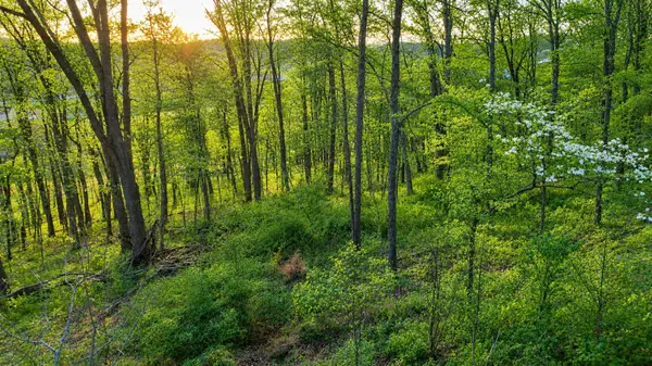 0 John Brinkley Rd, Shelbyville, TN 37160