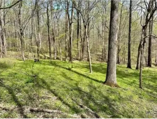 0 Allen Bend Road, Smithville, TN 37166