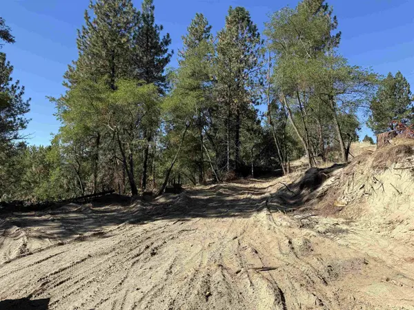1324 S Delaware Ave, Kettle Falls, WA 99141