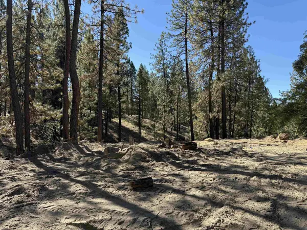 1324 S Delaware Ave, Kettle Falls, WA 99141