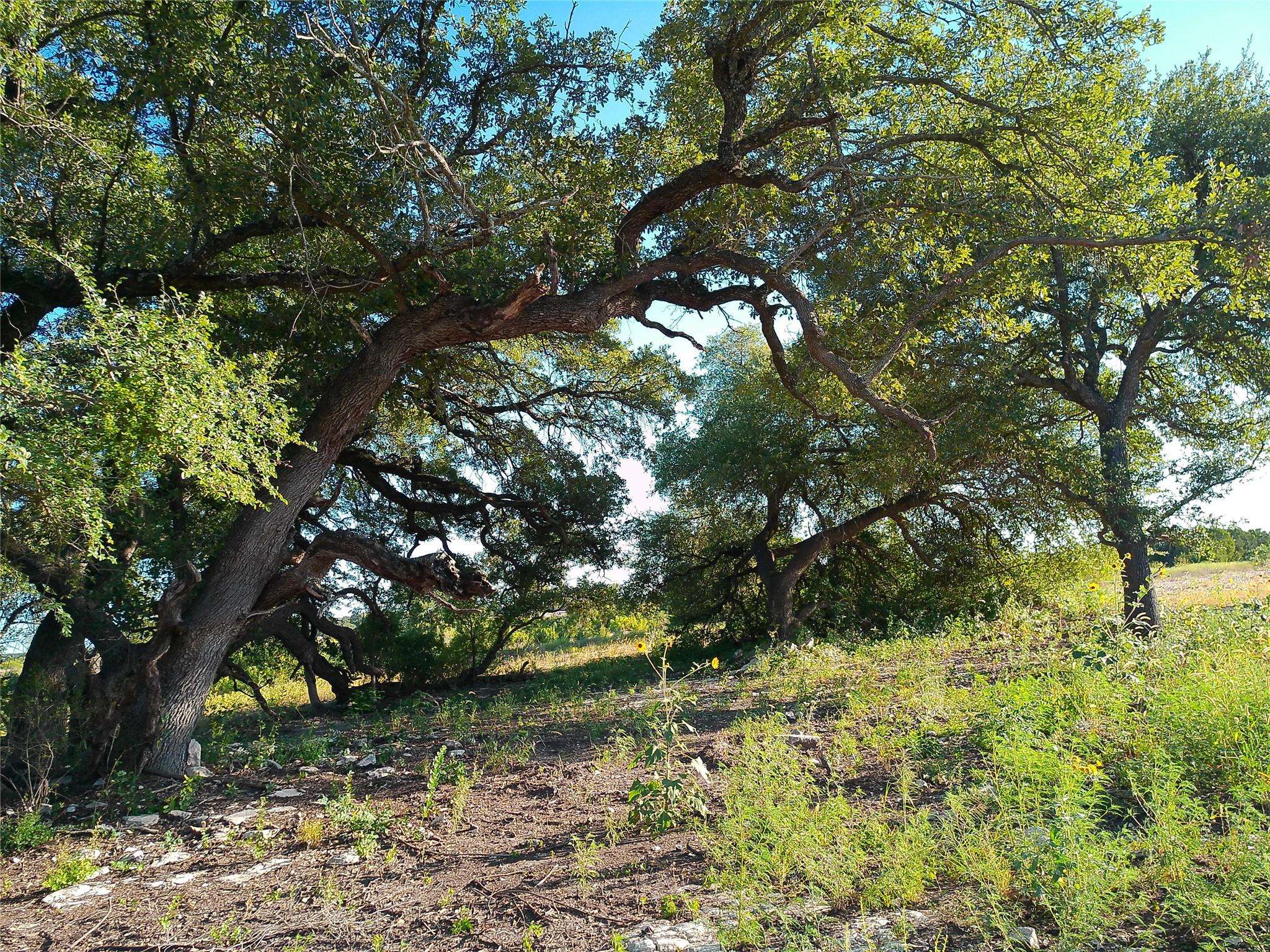 Lot 42 Serenity DR, Bertram, TX 78605