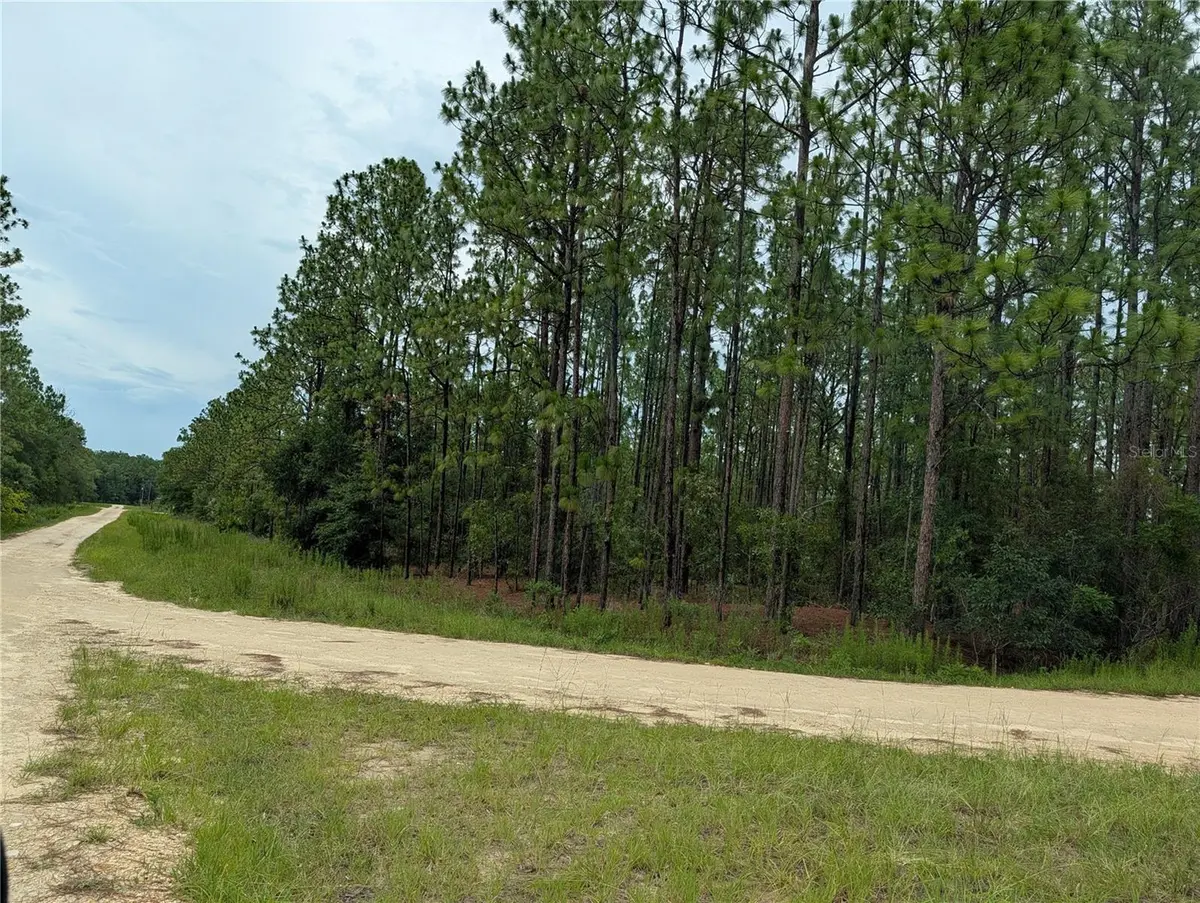 SW TBD SW 125TH COURT RD, Ocala, FL 34481