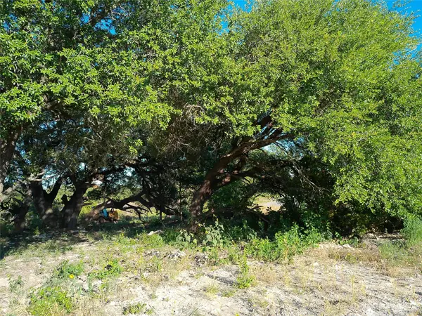 Lot 42 Serenity DR, Bertram, TX 78605