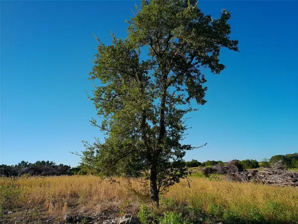 Lot 42 Serenity DR, Bertram, TX 78605