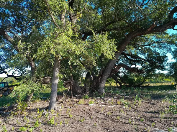 Lot 42 Serenity DR, Bertram, TX 78605