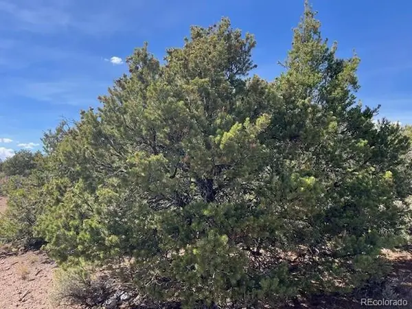 Wild Horse Drive, Lot 26, San Luis, CO 81152