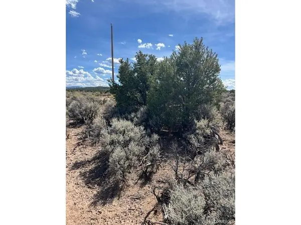 Wild Horse Drive, Lot 26, San Luis, CO 81152