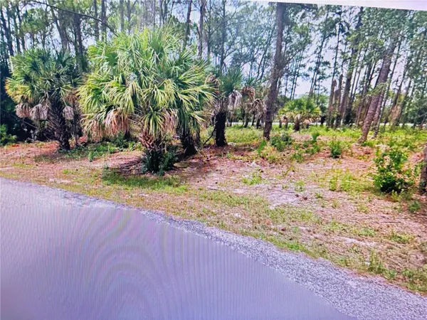 TASCO LOTS 2,3, & 4 DR, North Port, FL 34291