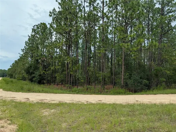 SW TBD SW 125TH COURT RD, Ocala, FL 34481