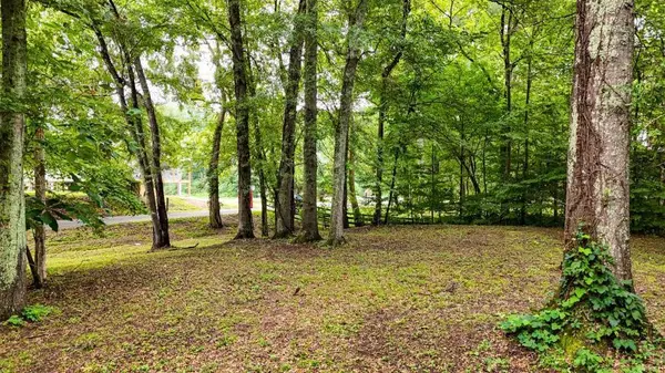 160 Tree Frog Lane, Benton, TN 37307