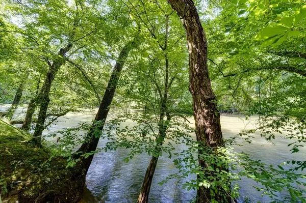 160 Tree Frog Lane, Benton, TN 37307