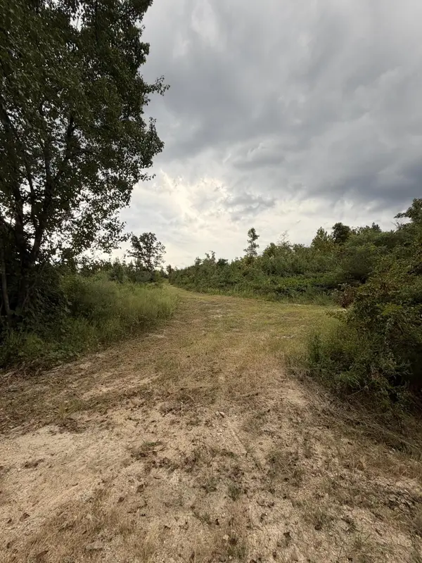 2 Bethel Road, Hammondville, AL 35989