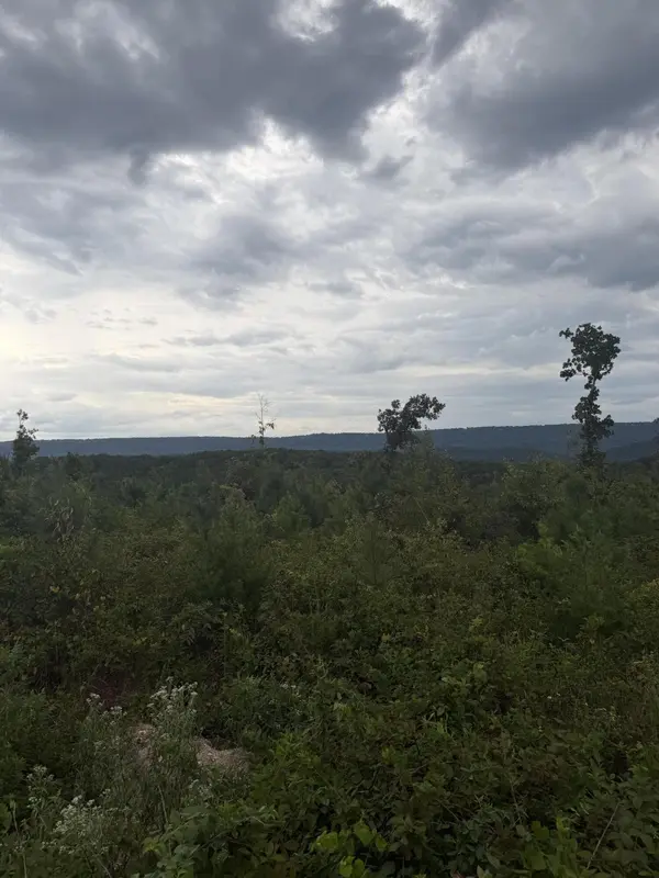 2 Bethel Road, Hammondville, AL 35989
