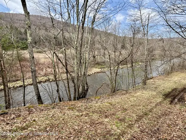Starrucca Creek RD, Starrucca, PA 18462
