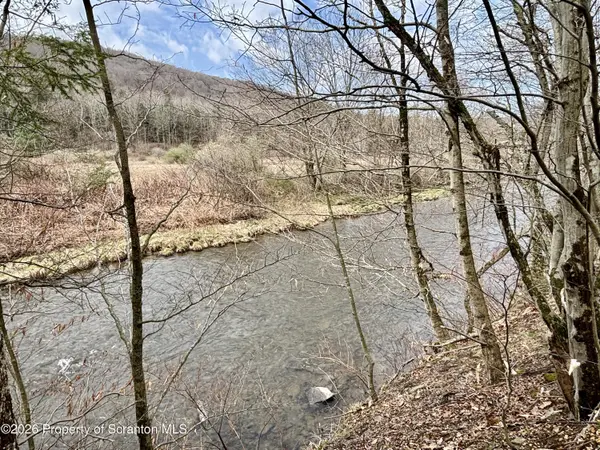 Starrucca Creek RD, Starrucca, PA 18462