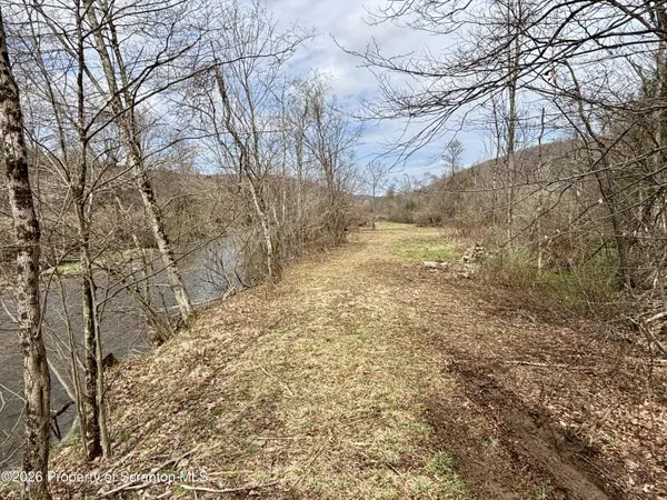 Starrucca Creek RD, Starrucca, PA 18462