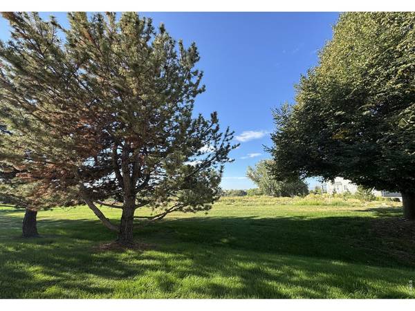 1601 Great Western #D-6, Longmont, CO 80501