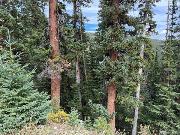 605 CR 805, Breckenridge, CO 80424