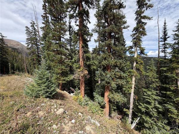 605 CR 805, Breckenridge, CO 80424