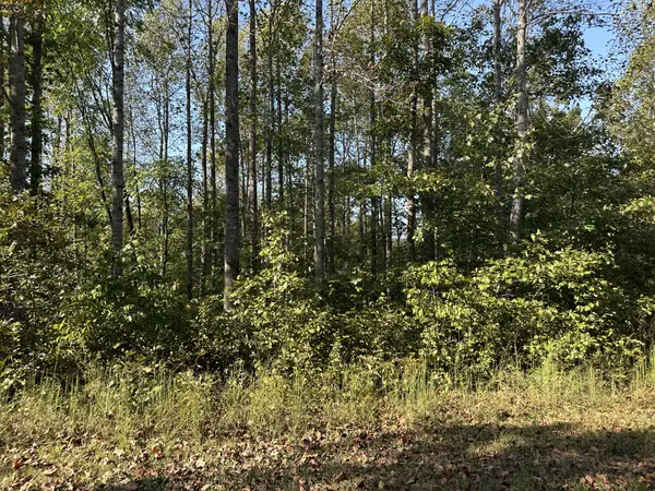 2100 Highway 13, Erin, TN 37061