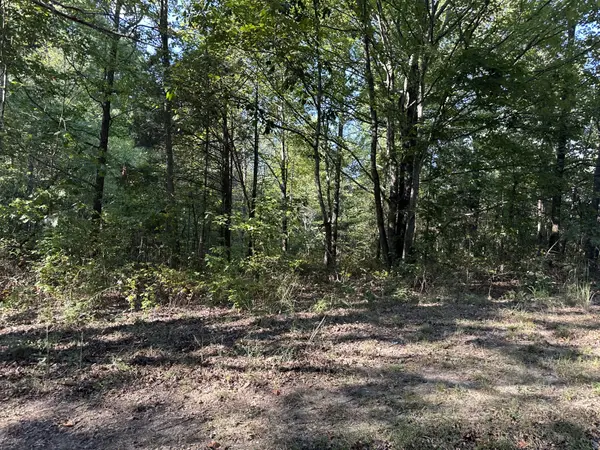 2100 Highway 13, Erin, TN 37061