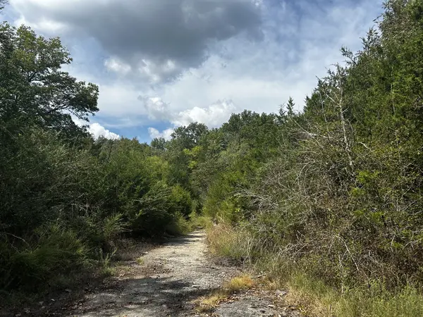 0 Craig Moore Rd, Lewisburg, TN 37091