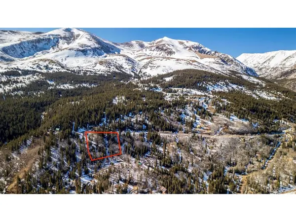 944 Roberts, Alma, CO 80420