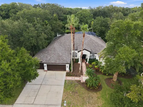 3921 ARLINGTON DR, Palm Harbor, FL 34685