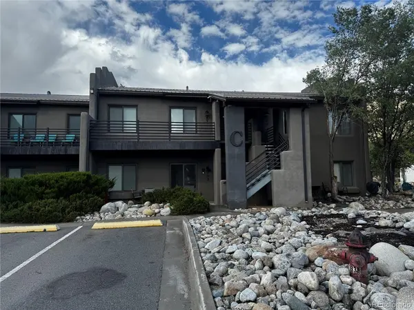 623 Cedar #C-C 203, Buena Vista, CO 81211