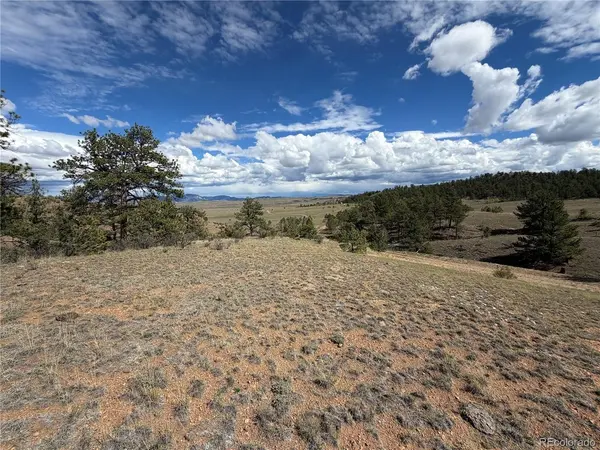 0 Wren, Hartsel, CO 80449