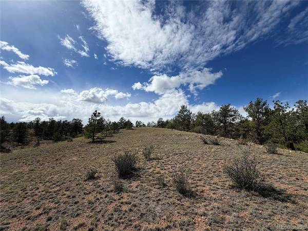 0 Wren, Hartsel, CO 80449