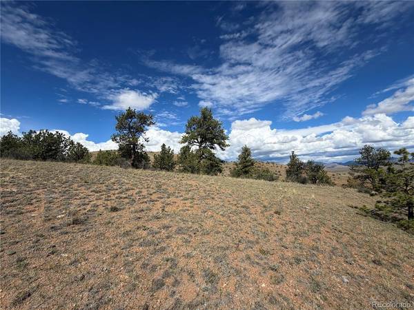 0 Wren, Hartsel, CO 80449