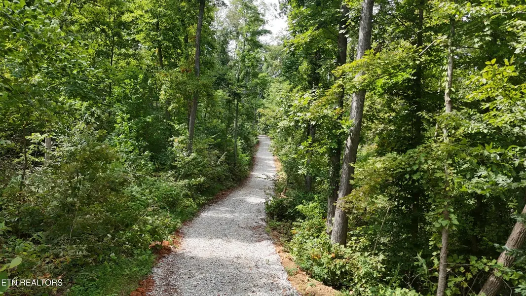 0 Easterly Circle, Rocky Top, TN 37769