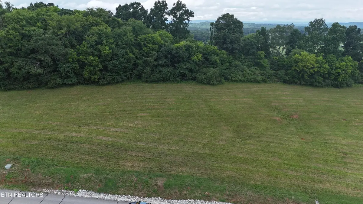 0 The Gates Drive, Decatur, TN 37322