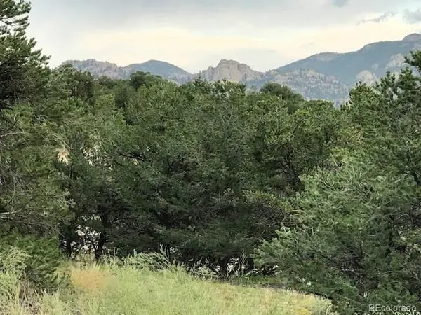 10365 Rawhide Creek, Nathrop, CO 81236