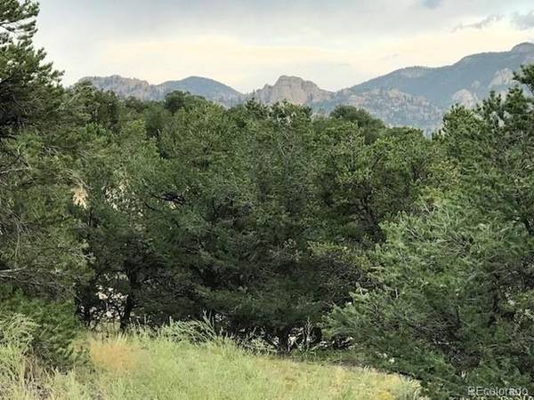 10365 Rawhide Creek, Nathrop, CO 81236